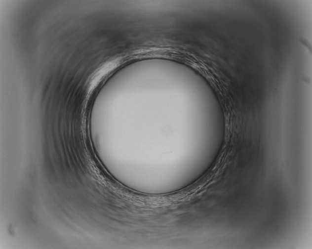 X0000101660006200807101036