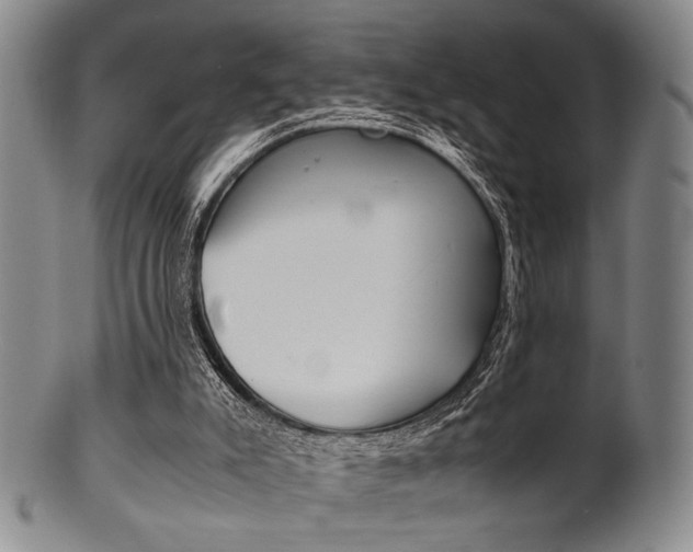 X0000101660007200807101036