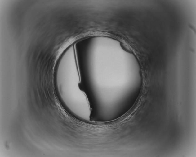 X0000101660008200807101036