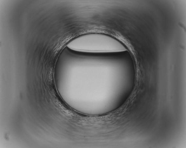 X0000101660009200807101036