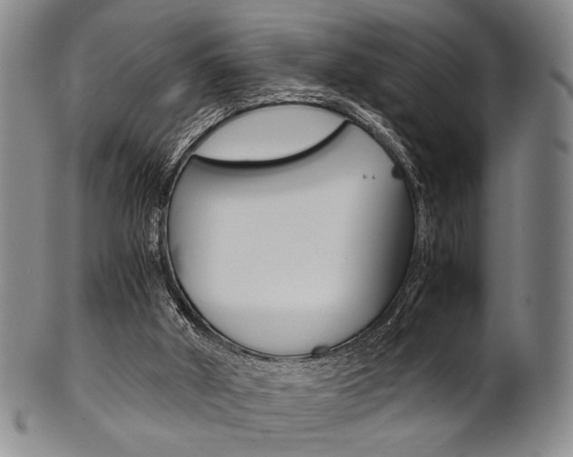 X0000101660010200807101036