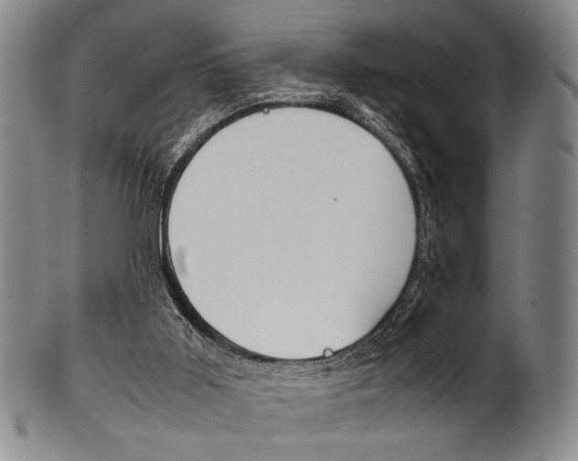 X0000101660011200807101036