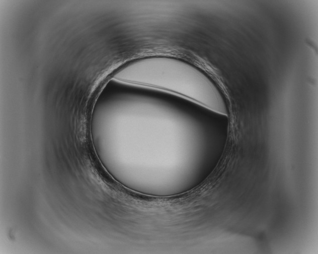 X0000101660012200807101036