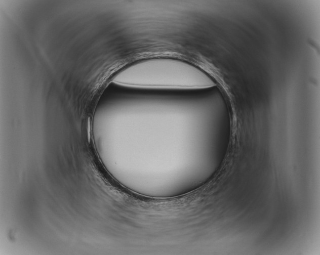 X0000101660013200807101036