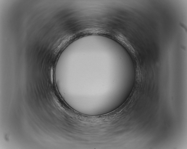 X0000101660014200807101036
