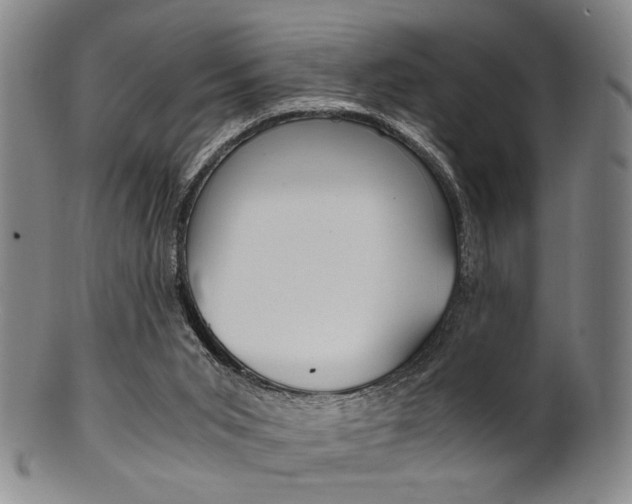 X0000101660015200807101036