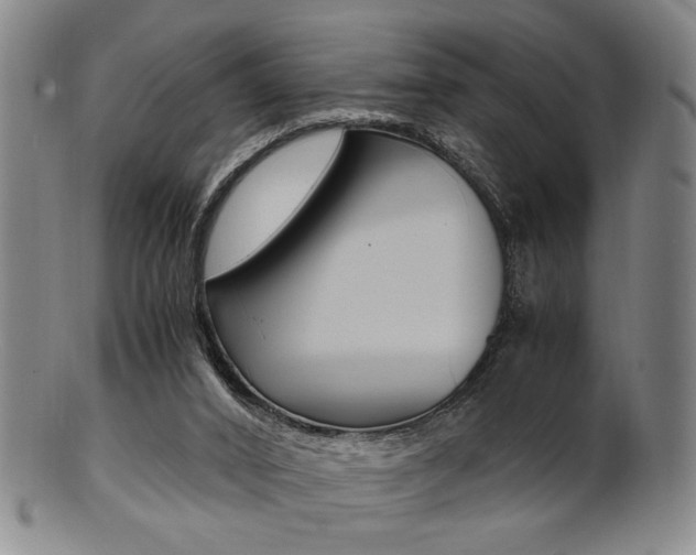 X0000101660016200807101036