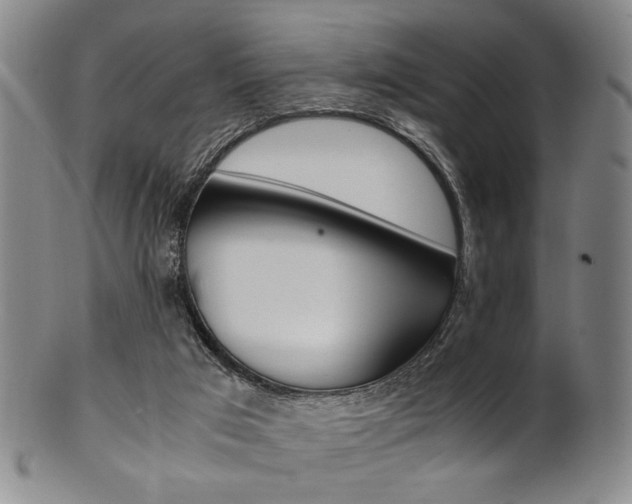 X0000101660017200807101036