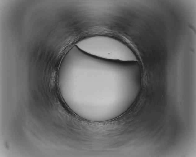 X0000101660018200807101036