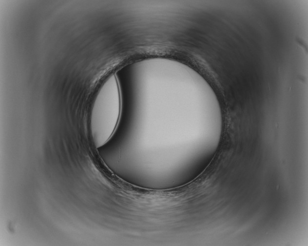 X0000101660020200807101036