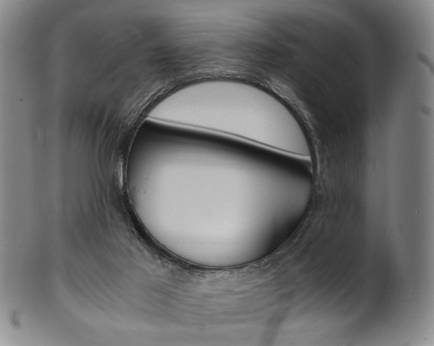 X0000101660021200807101036