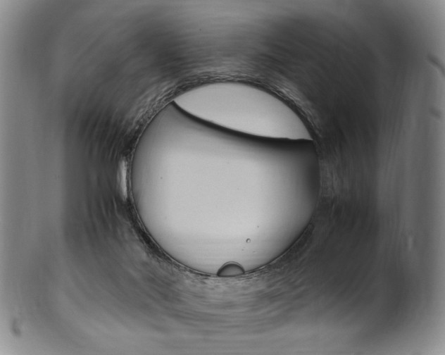 X0000101660022200807101036