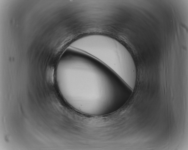 X0000101660024200807101036