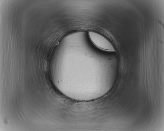 X0000101660025200807101036