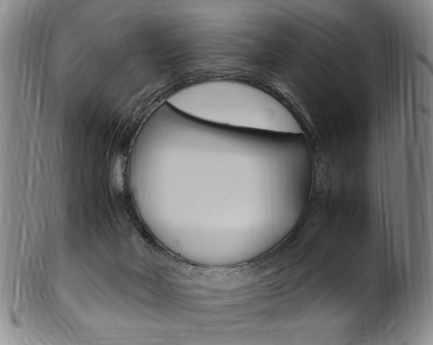 X0000101660026200807101036