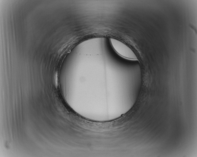 X0000101660027200807101036