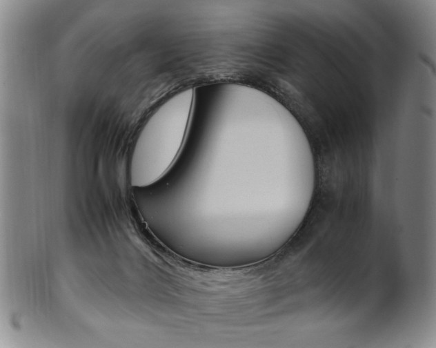 X0000101660028200807101036