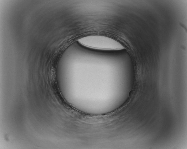 X0000101660029200807101036