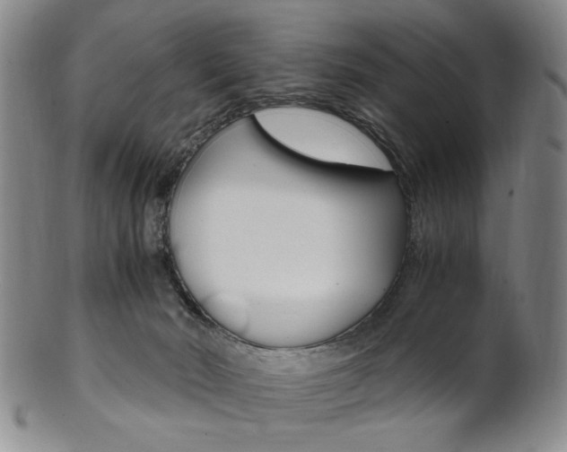 X0000101660030200807101036