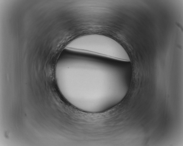 X0000101660031200807101036