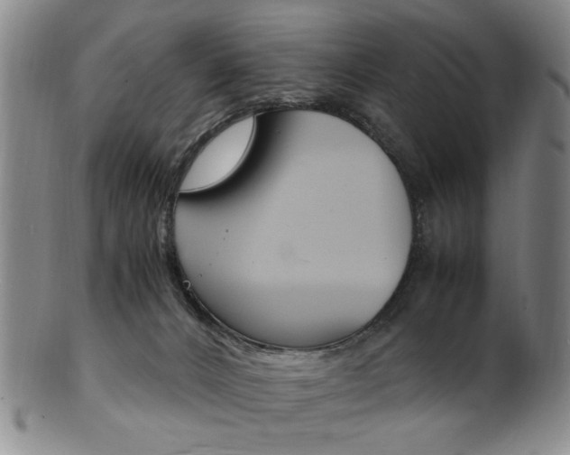 X0000101660032200807101036