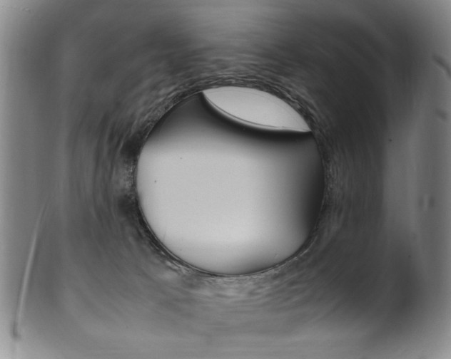 X0000101660033200807101036
