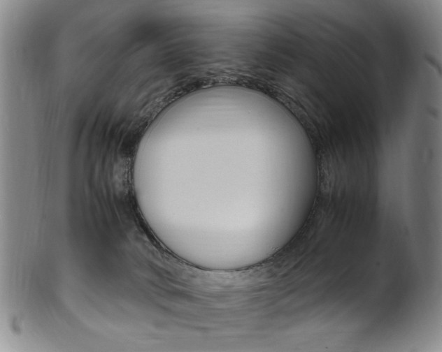 X0000101660034200807101036