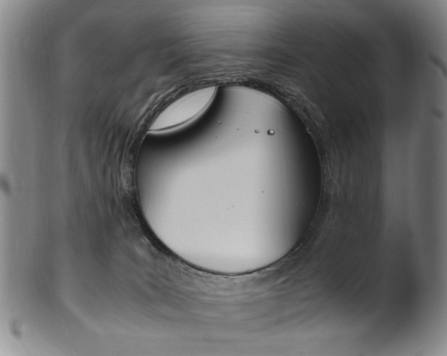 X0000101660035200807101036
