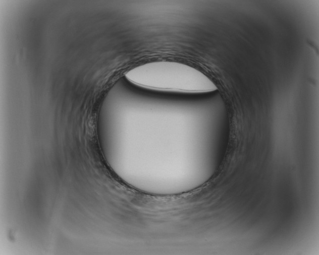 X0000101660037200807101036