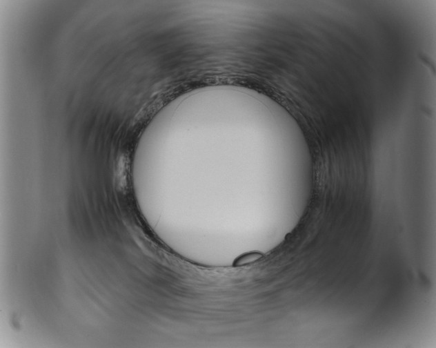 X0000101660038200807101036