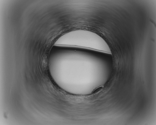 X0000101660040200807101036