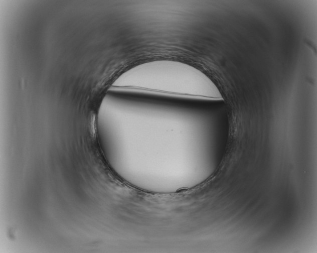 X0000101660041200807101036