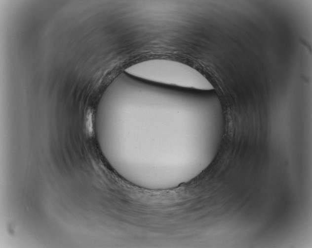 X0000101660042200807101036