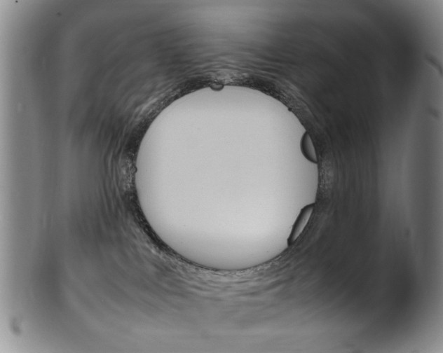 X0000101660043200807101036