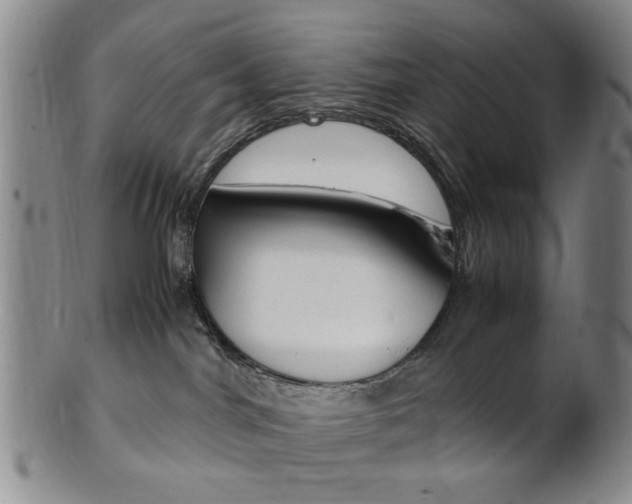 X0000101660044200807101036