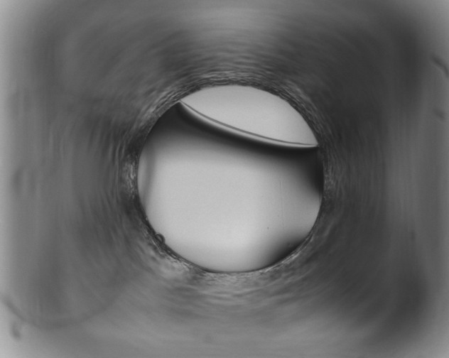 X0000101660045200807101036