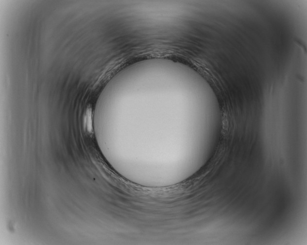 X0000101660046200807101036