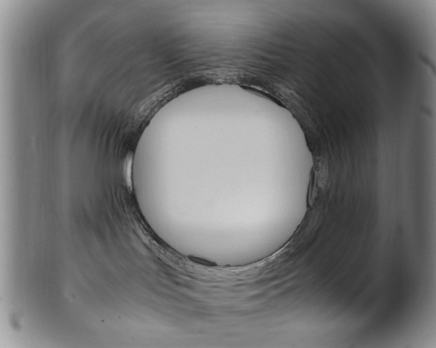X0000101660047200807101036