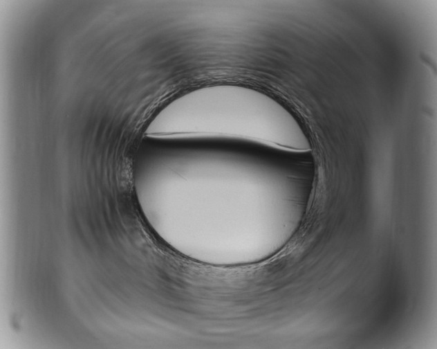 X0000101660048200807101036