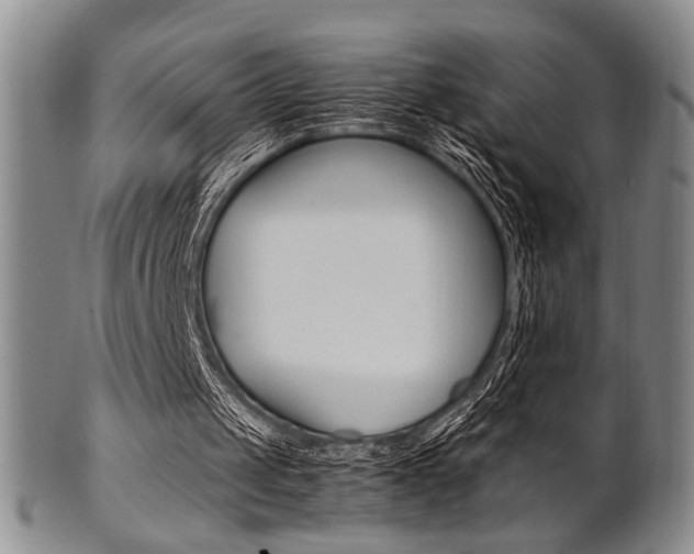X0000101660049200807101035