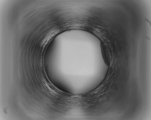 X0000101660050200807101035