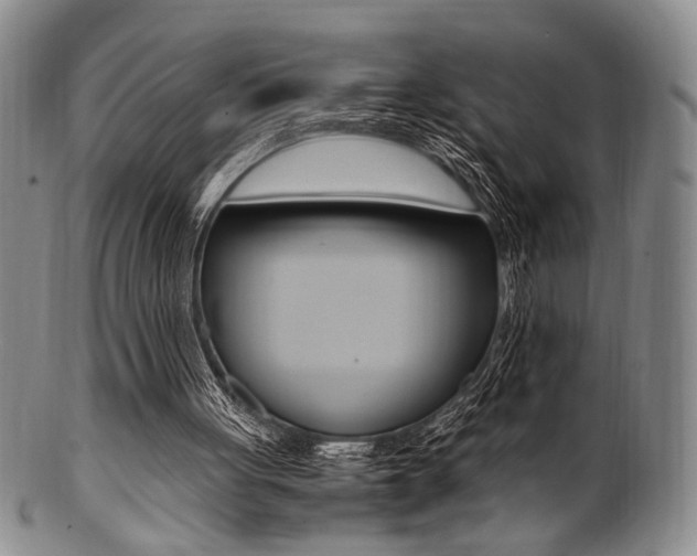X0000101660051200807101035