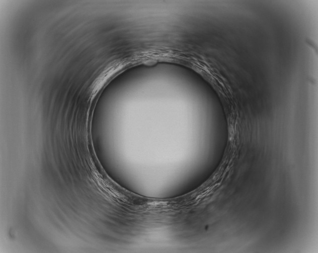 X0000101660052200807101035