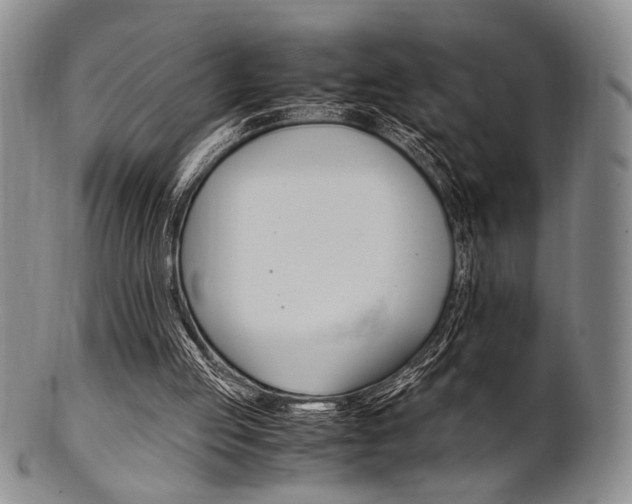 X0000101660053200807101035