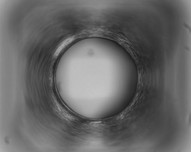X0000101660054200807101035