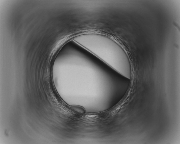 X0000101660055200807101035