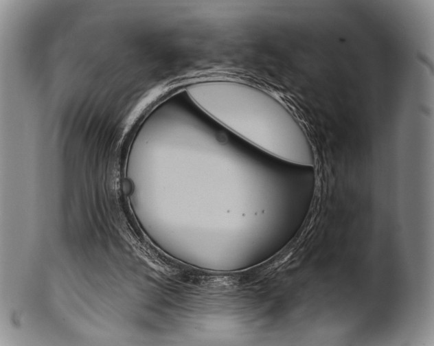 X0000101660056200807101035