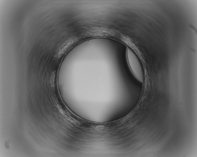 X0000101660058200807101035