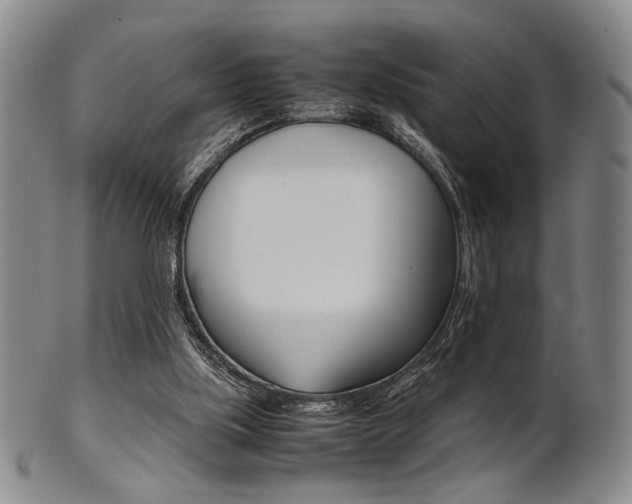 X0000101660059200807101035
