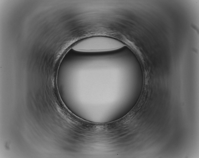 X0000101660060200807101035